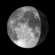 Luna Calante (20 giorni)