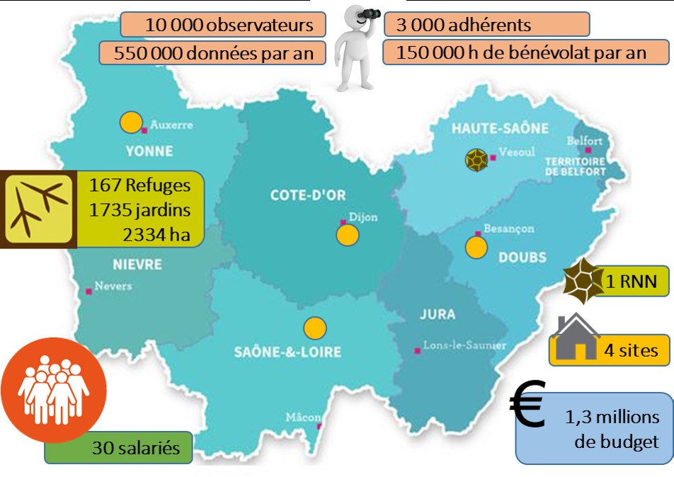 https://cdnfiles1.biolovision.net/franche-comte.lpo.fr/userfiles/lpo/Fusion2020-Graph1.jpg