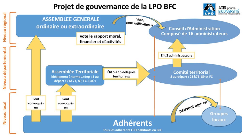 https://cdnfiles1.biolovision.net/franche-comte.lpo.fr/userfiles/lpo/Fusion2020-Graph2.jpg