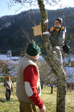 https://cdnfiles1.biolovision.net/franche-comte.lpo.fr/userfiles/lpo/nichoirs.jpg