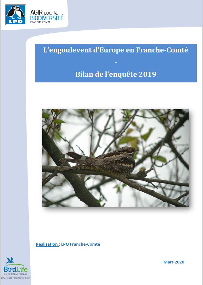 https://cdnfiles1.biolovision.net/franche-comte.lpo.fr/userfiles/observer/EngouleventdEurope/Photorapport.JPG