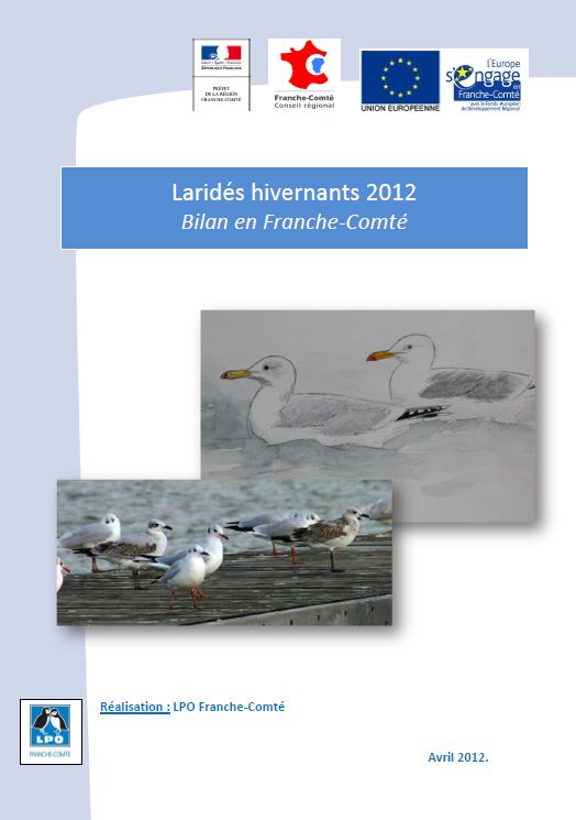 https://cdnfiles1.biolovision.net/franche-comte.lpo.fr/userfiles/observer/Larideshivernant/PagedecouvLarids.jpg