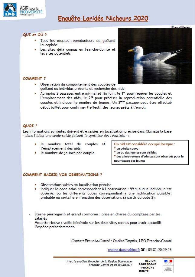 https://cdnfiles1.biolovision.net/franche-comte.lpo.fr/userfiles/observer/Laridesnicheurs/Photonotemthodo.JPG