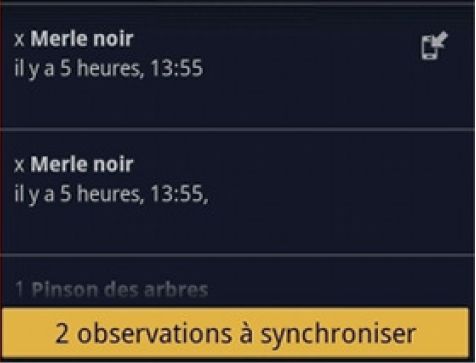 https://cdnfiles1.biolovision.net/franche-comte.lpo.fr/userfiles/observer/Naturalist/11synchro.jpg