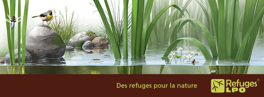https://cdnfiles1.biolovision.net/franche-comte.lpo.fr/userfiles/proteger/64095361397530548773171091707n.jpg