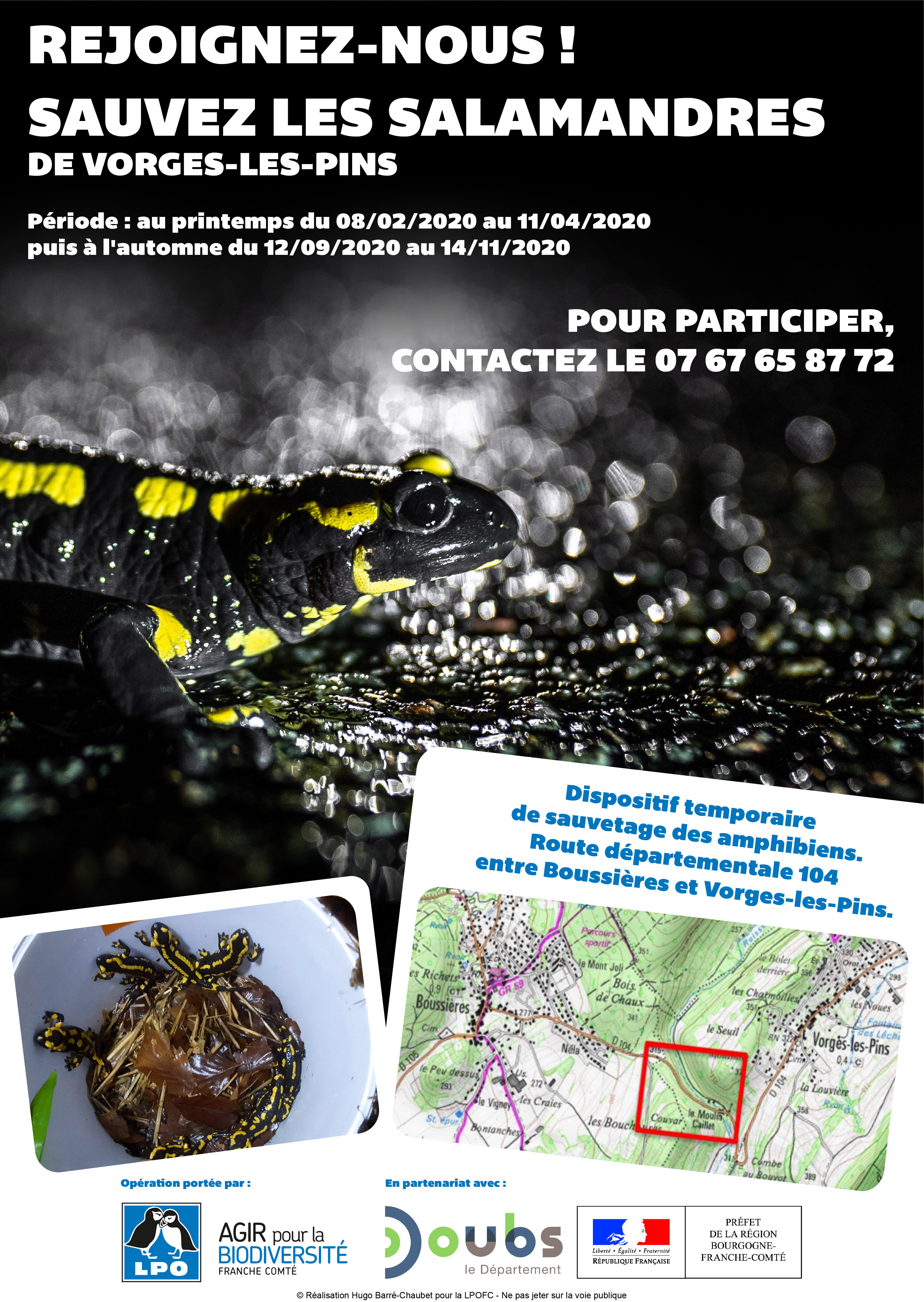 https://cdnfiles1.biolovision.net/franche-comte.lpo.fr/userfiles/proteger/AmphibiensRoutes/FlyerVorges.jpg