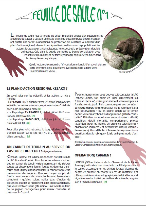 https://cdnfiles1.biolovision.net/franche-comte.lpo.fr/userfiles/proteger/Castor/P1feuillesaule.jpg