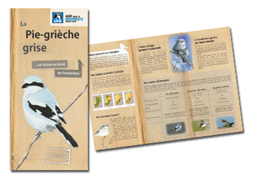 https://cdnfiles1.biolovision.net/franche-comte.lpo.fr/userfiles/proteger/Protectionespces/Plansactions/plaquette-PGG-V5-1.png