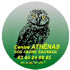 https://cdnfiles1.biolovision.net/franche-comte.lpo.fr/userfiles/proteger/athenasLogofondvertsansRScopiebd.gif