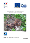 https://cdnfiles1.biolovision.net/franche-comte.lpo.fr/userfiles/publications/rapportsmissions/BilanplandactionmilanroyalDec0901ok.jpg