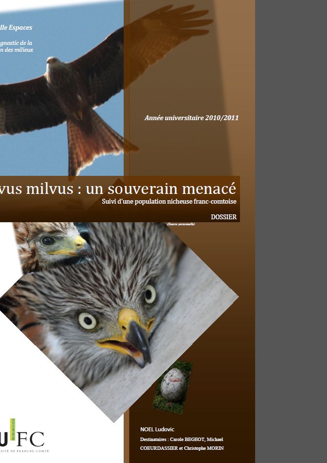 https://cdnfiles1.biolovision.net/franche-comte.lpo.fr/userfiles/publications/rapportsstages/2011StagePNAMilanroyalLNOELcouv.jpg