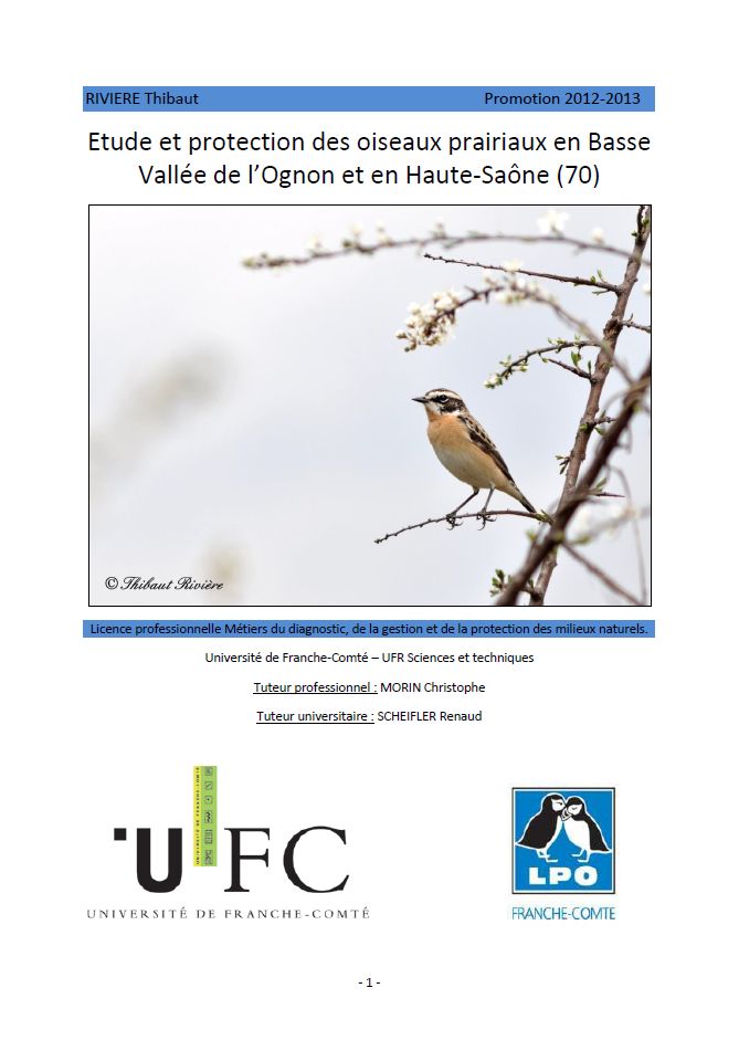 https://cdnfiles1.biolovision.net/franche-comte.lpo.fr/userfiles/publications/rapportsstages/2013StageOiseauxprairiauxTRivirecouv.jpg
