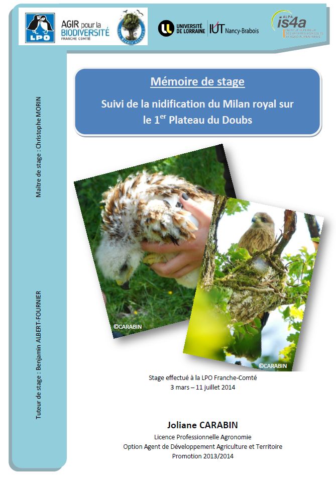 https://cdnfiles1.biolovision.net/franche-comte.lpo.fr/userfiles/publications/rapportsstages/2014StageMilanroyalJCarabincouv.jpg
