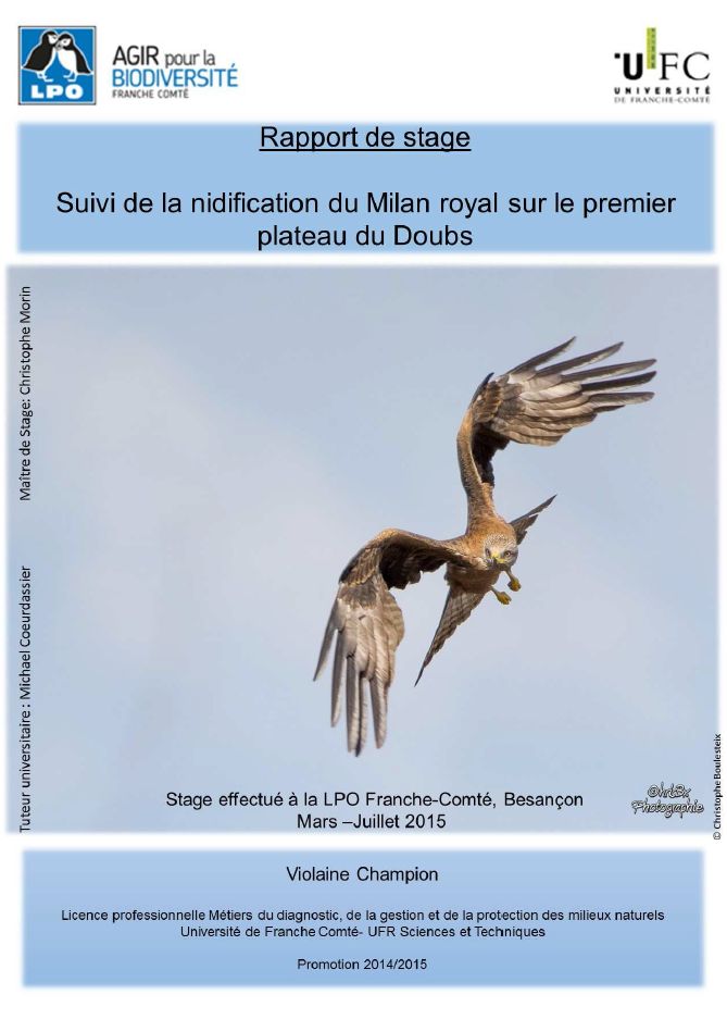 https://cdnfiles1.biolovision.net/franche-comte.lpo.fr/userfiles/publications/rapportsstages/2015RapportPNAMilanViolaineChampioncouv.jpg