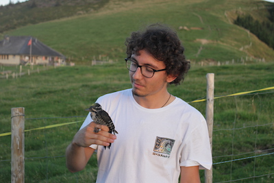 https://cdnfiles1.biolovision.net/gdj.nosoiseaux.ch/userfiles/IMG4442.JPG