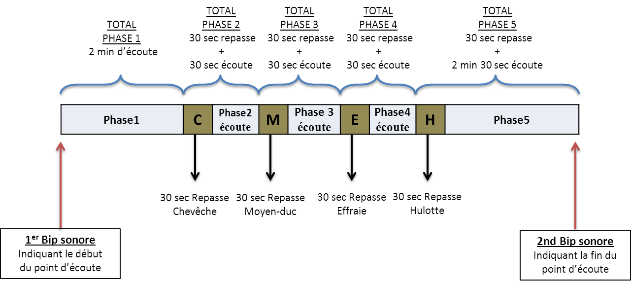 https://cdnfiles1.biolovision.net/observatoire-rapaces.lpo.fr/userfiles/EnquteRapacesNocturnes/SCHEMAREPASSE.png