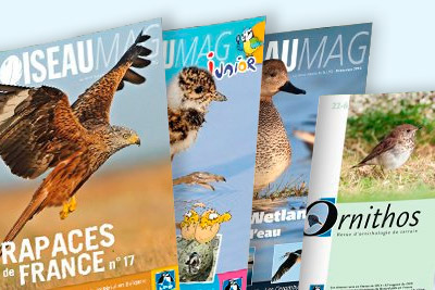 Enfants, curieux de nature, ornithologues confirmés... Il existe une revue LPO pour chacun ! https://cdnfiles1.biolovision.net/vienne.lpo.fr/userfiles/BiodivDecouvrirLire400px.jpg