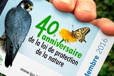 Rejoignez les 42 000 adhérents du réseau LPO ! https://cdnfiles1.biolovision.net/vienne.lpo.fr/userfiles/BiodivSoutenirAdhrerCarte16-400px.jpg