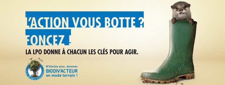 https://cdnfiles1.biolovision.net/vienne.lpo.fr/userfiles/BiodivactAgirterrainLoutre.jpg