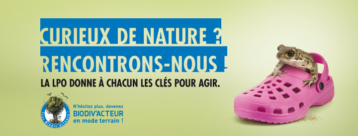 https://cdnfiles1.biolovision.net/vienne.lpo.fr/userfiles/BiodivactDecouvrirGrenouille.jpg