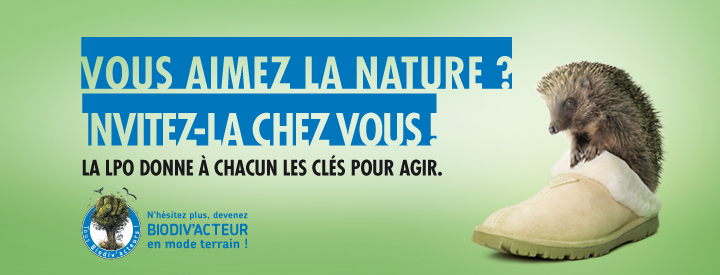https://cdnfiles1.biolovision.net/vienne.lpo.fr/userfiles/BiodivactInviteznatureHerisson.jpg