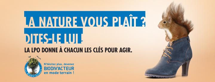 https://cdnfiles1.biolovision.net/vienne.lpo.fr/userfiles/BiodivactSoutenirEcureuil.jpg