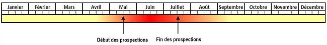 Calendrier des prospections