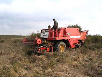 Chantier de coupe de brande © LPO Vienne