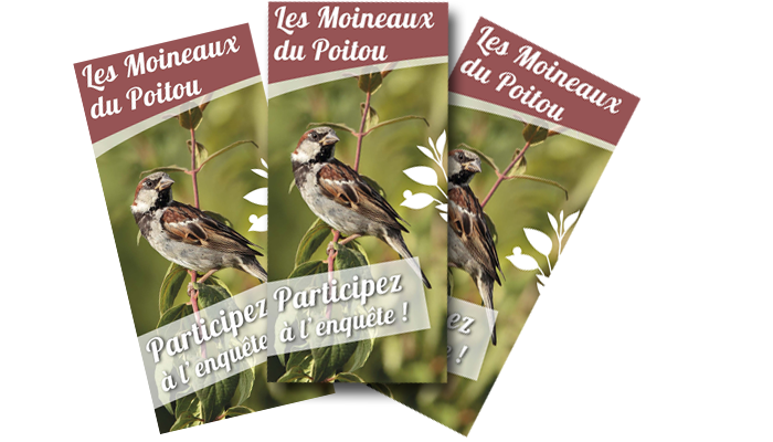 https://cdnfiles1.biolovision.net/vienne.lpo.fr/userfiles/dpliantmoineauxdupoitou.png