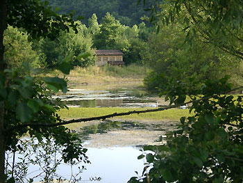 Etang de l'Écotière et observatoire ornithologique © Thierry Dubois https://cdnfiles1.biolovision.net/vienne.lpo.fr/userfiles/ecotiere-obs-TD.jpg