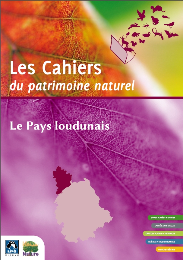 https://cdnfiles1.biolovision.net/vienne.lpo.fr/userfiles/CahierPatNat-loudunais-BD.pdf
