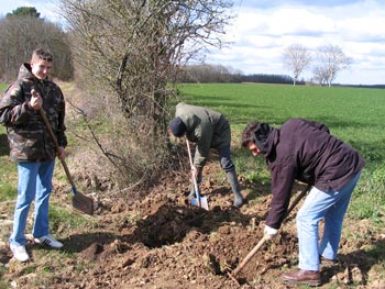Plantation de haie © Grégory Faupin