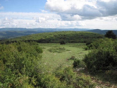 https://cdnfiles1.biolovision.net/www.faune-ain.org/userfiles/ConchesPCreduite.jpg