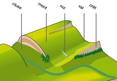 https://cdnfiles1.biolovision.net/www.faune-ain.org/userfiles/Illustrations/IllustrationsortieCORA20120505/2012-15-05SchemaCluse.jpg