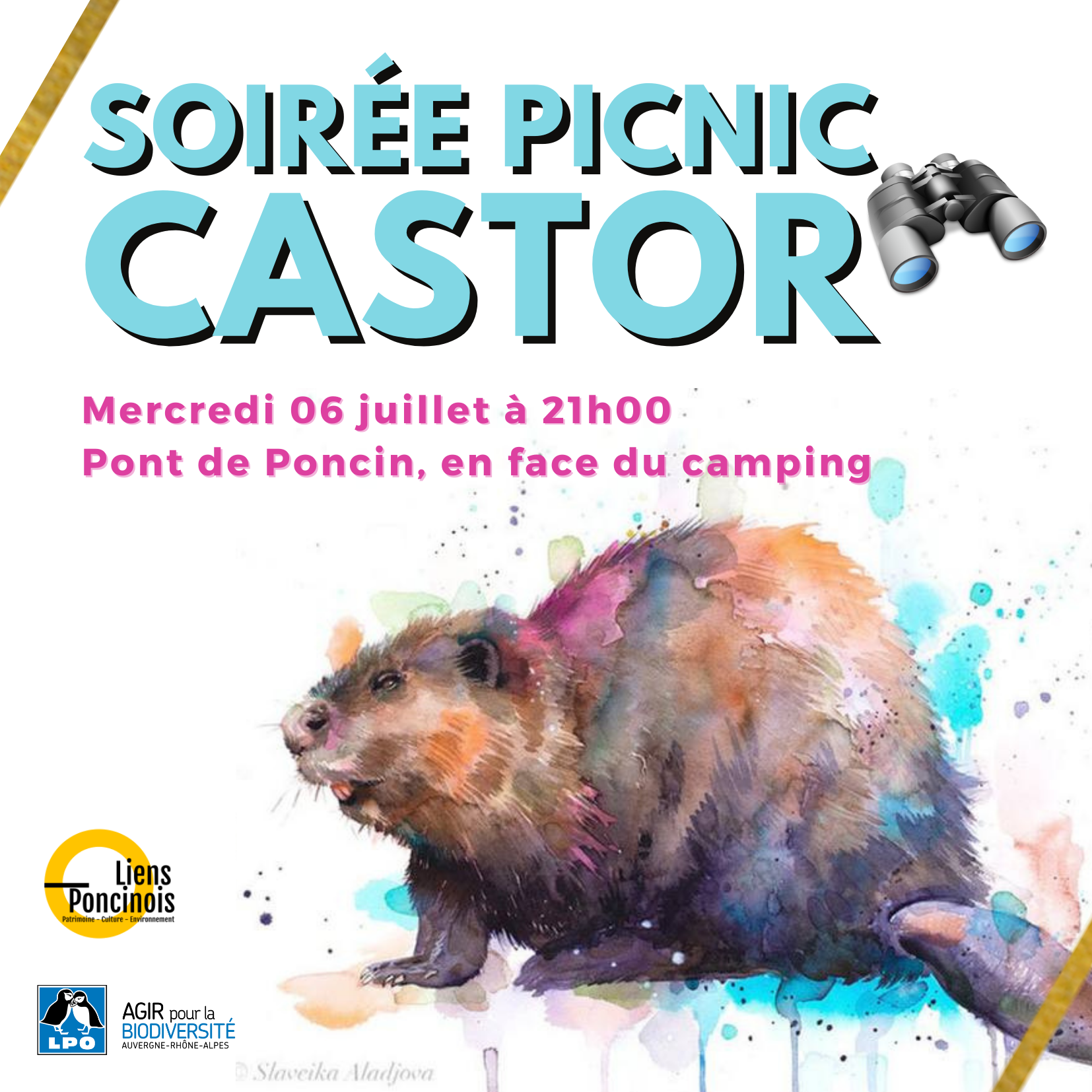 https://cdnfiles1.biolovision.net/www.faune-ain.org/userfiles/PicnicCastor.png