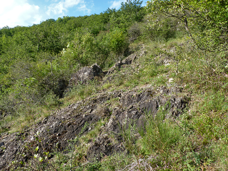 https://cdnfiles1.biolovision.net/www.faune-alsace.org/userfiles/Insectes/ephippigere/Ephi-biotope-2.jpg