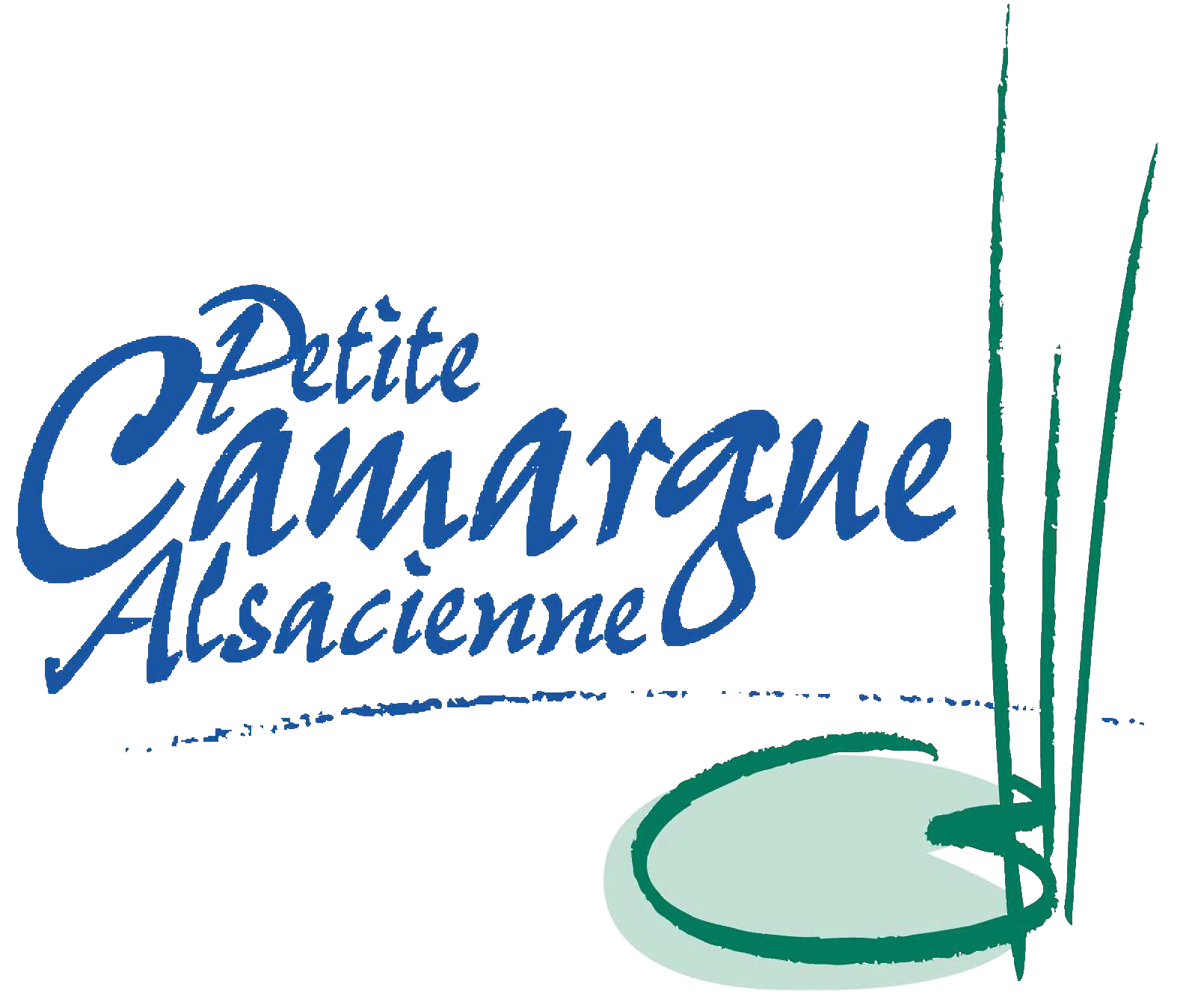 La Petite Camargue Alsacienne Wwwfaune Alsaceorg