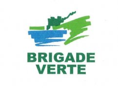 https://cdnfiles1.biolovision.net/www.faune-alsace.org/userfiles/externes/LOGOBRIGADEVERTE.JPG