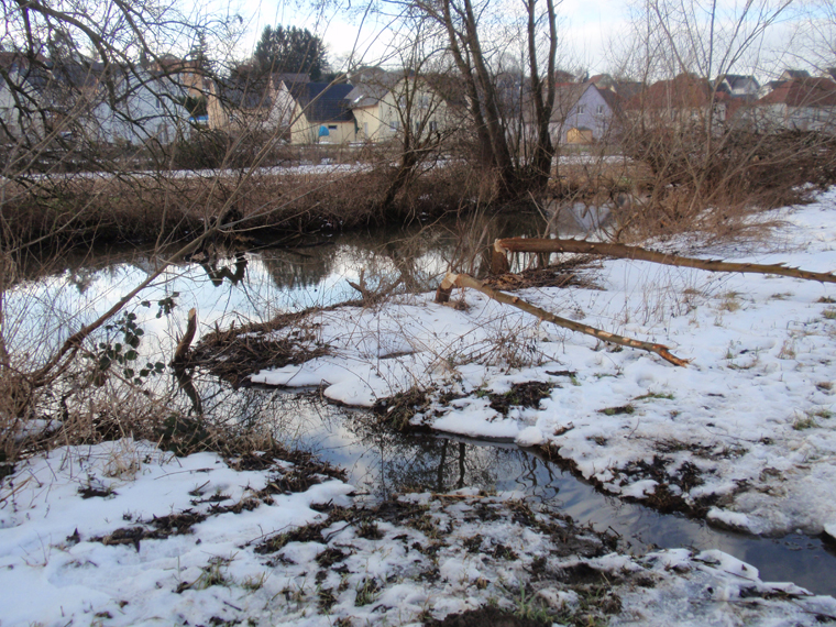 https://cdnfiles1.biolovision.net/www.faune-alsace.org/userfiles/gepma/castor/Chenal-creuse-ete-exploiter-champs-de-mais-Steinbaechlein-Morschwiller-68.jpg