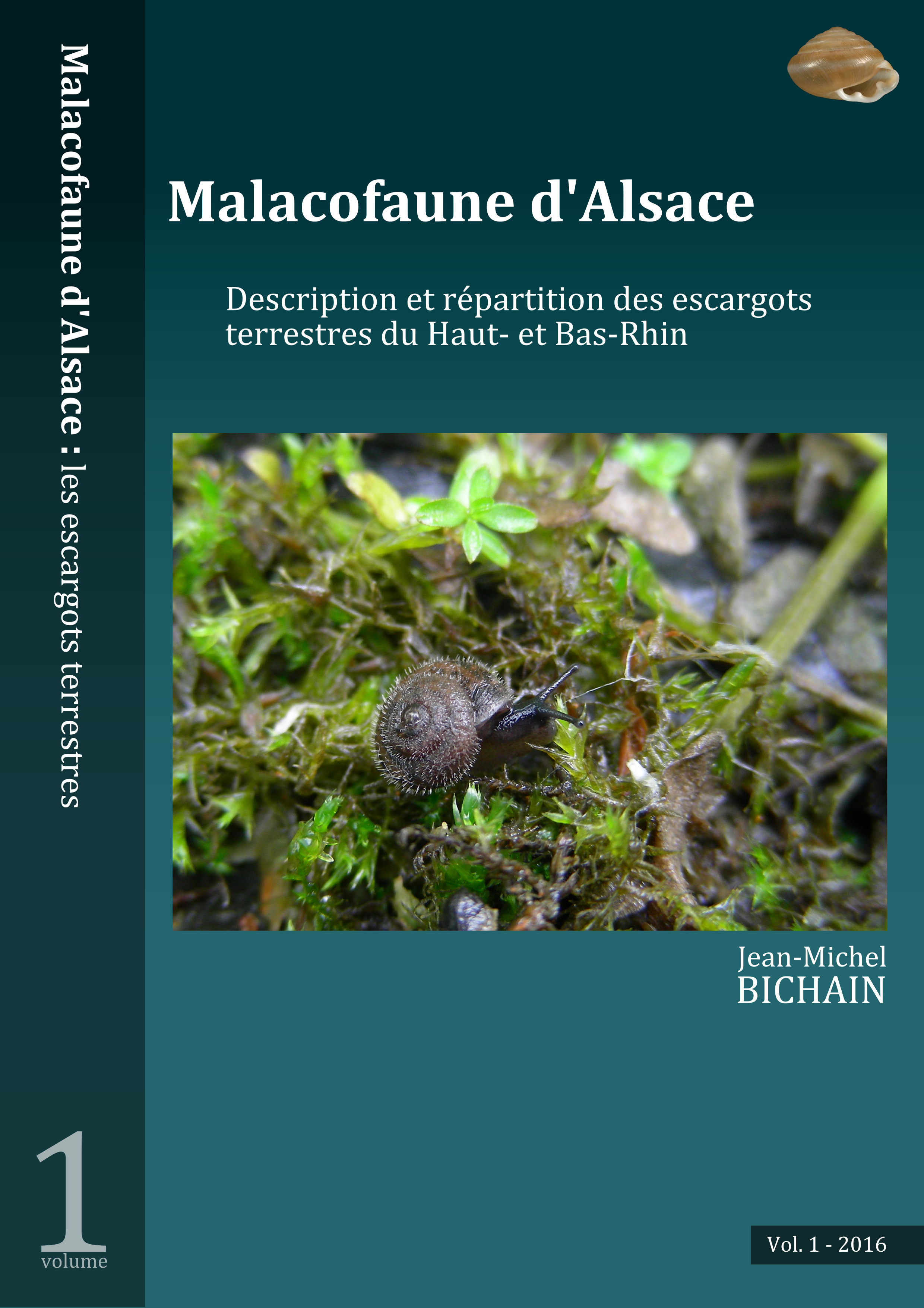 https://cdnfiles1.biolovision.net/www.faune-alsace.org/userfiles/mollusques/escargot2016.jpg
