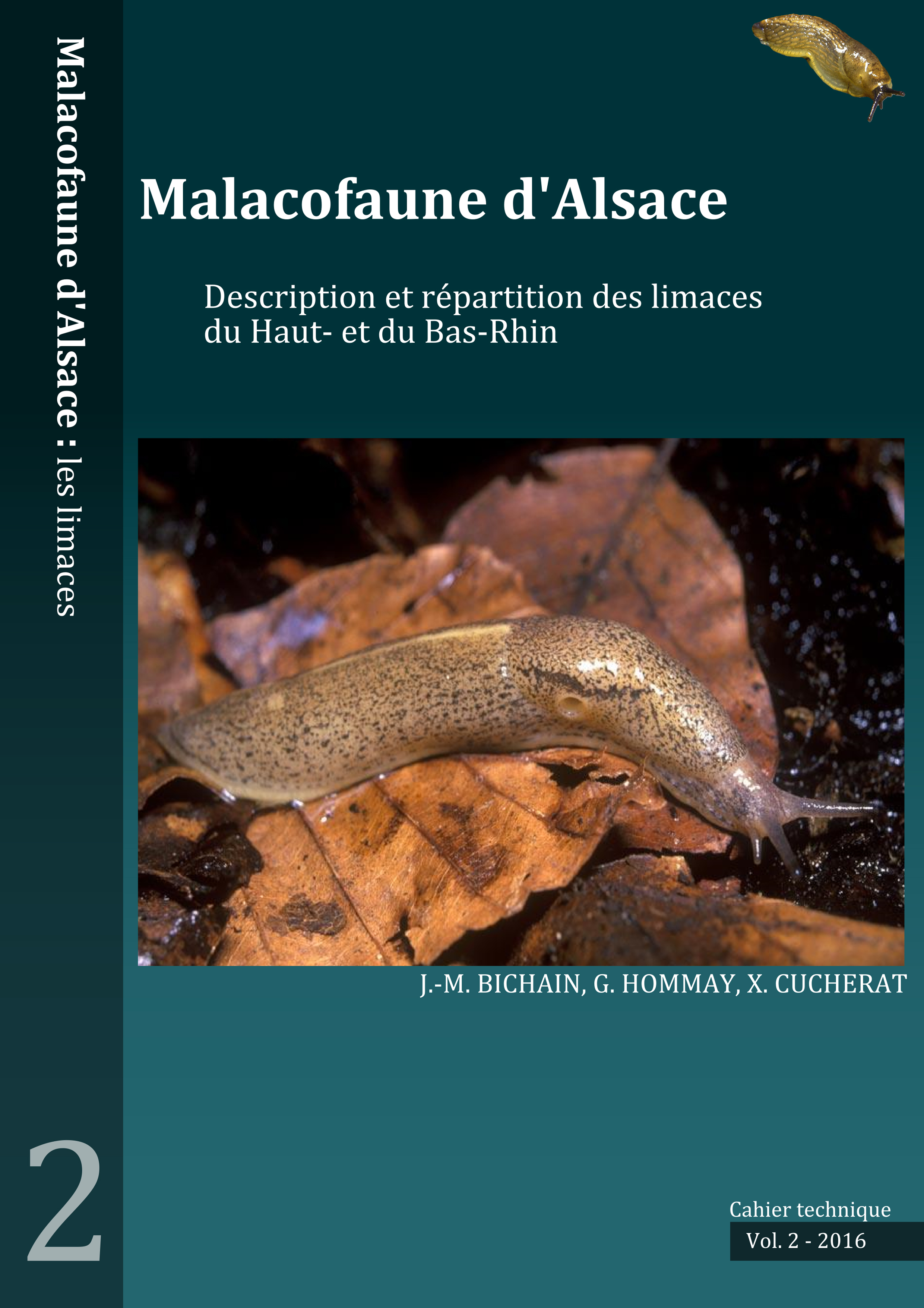 https://cdnfiles1.biolovision.net/www.faune-alsace.org/userfiles/mollusques/limace2016.jpg