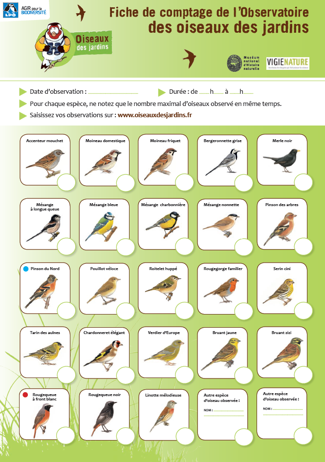 https://cdnfiles1.biolovision.net/www.faune-anjou.org/userfiles/divers/FichesODJoiseaux1.png
