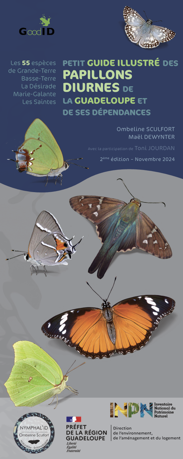https://cdnfiles1.biolovision.net/www.faune-antilles.org/userfiles/FauneAntilles/Identification/couvguidepapillonGuadeloupeV2.png