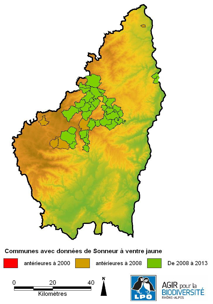 https://cdnfiles1.biolovision.net/www.faune-ardeche.org/userfiles/SonneurArdche2013_1.JPG