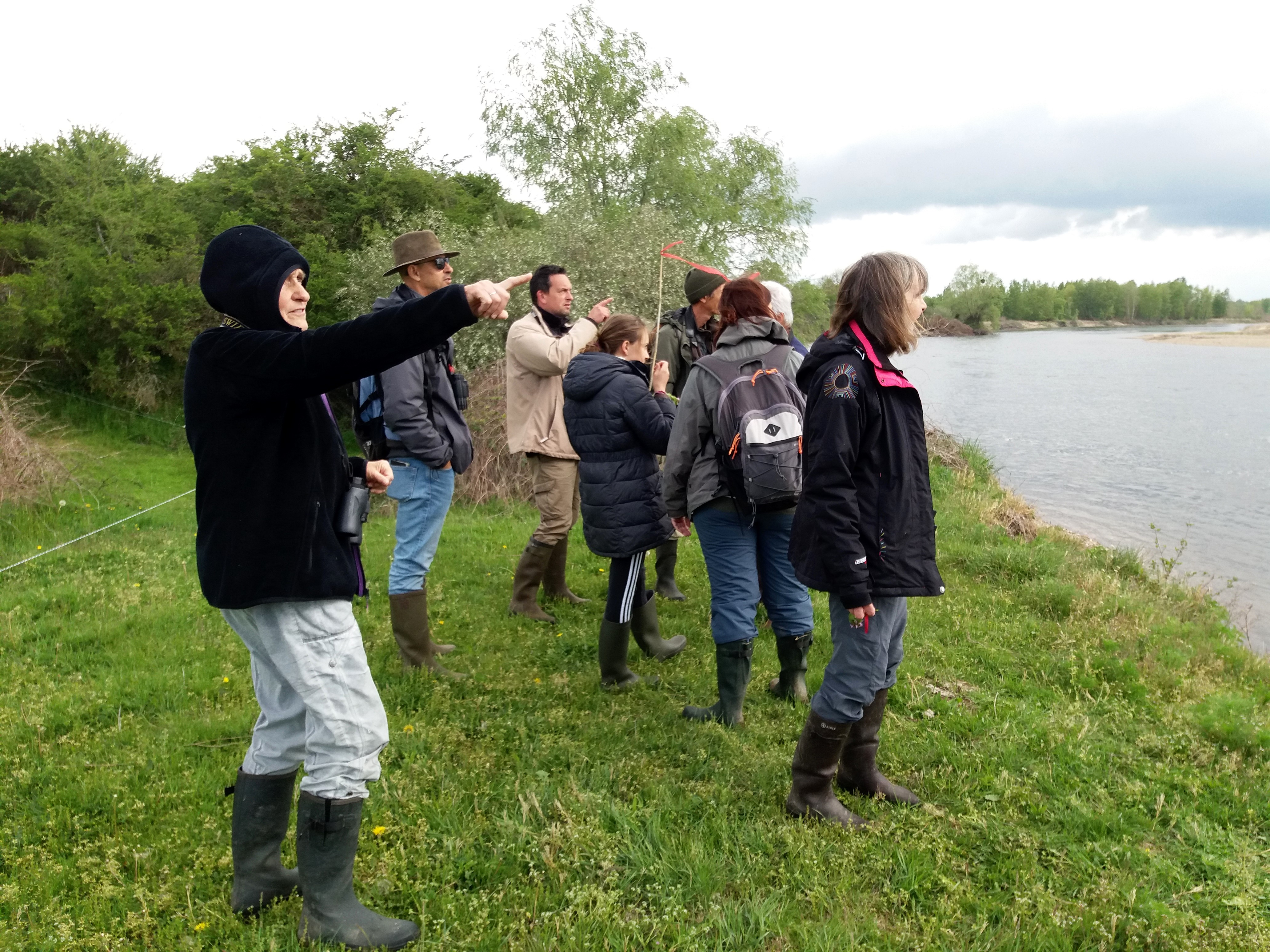https://cdnfiles1.biolovision.net/www.faune-auvergne.org/userfiles/GROUPERNNVA/20190504110554.jpg