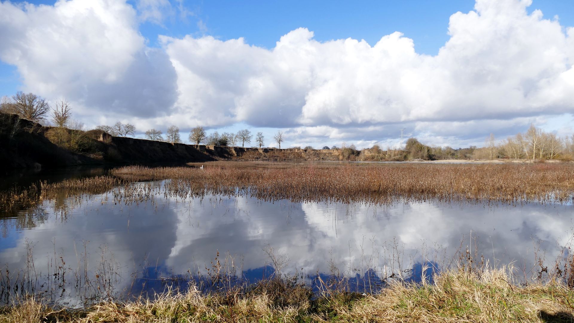 https://cdnfiles1.biolovision.net/www.faune-auvergne.org/userfiles/GROUPERNNVA/RNNVA.jpg