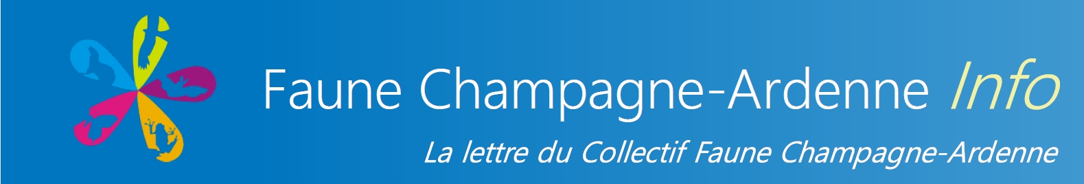 https://cdnfiles1.biolovision.net/www.faune-champagne-ardenne.org/userfiles/LettredinfoFCA/bandeaupresentationFauneChampagne-ArdenneInfo2.jpg