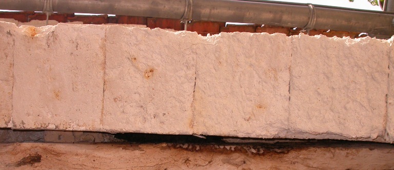 https://cdnfiles1.biolovision.net/www.faune-charente-maritime.org/userfiles/Barbar-gtedereproductionlight.JPG