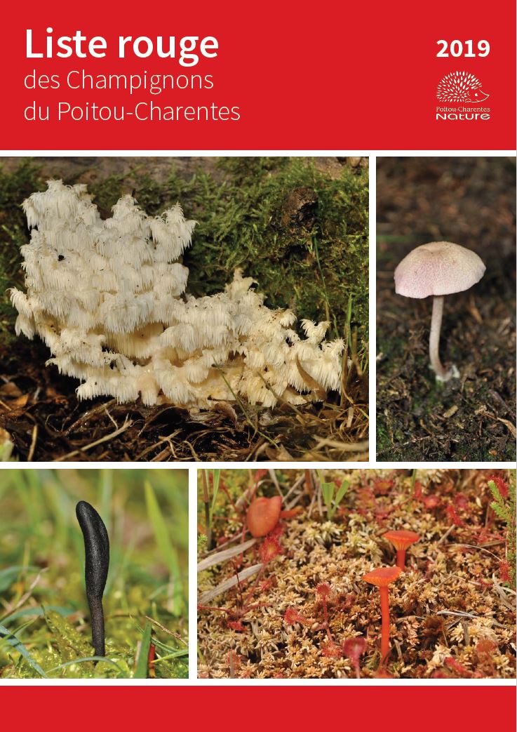 https://cdnfiles1.biolovision.net/www.faune-charente-maritime.org/userfiles/Fonge.JPG