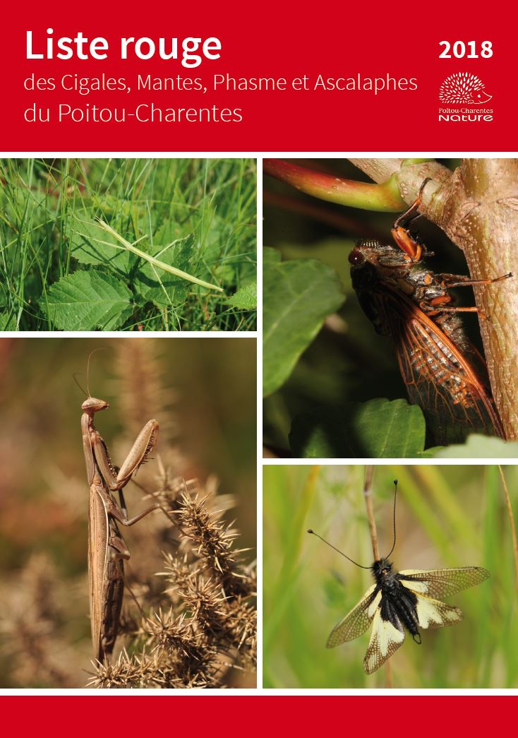 https://cdnfiles1.biolovision.net/www.faune-charente-maritime.org/userfiles/LRRMantes.JPG